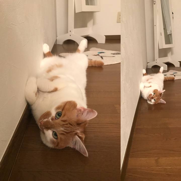 1e99d2a3 57c3 4d30 b8ee 27b119b58083 1622691249765