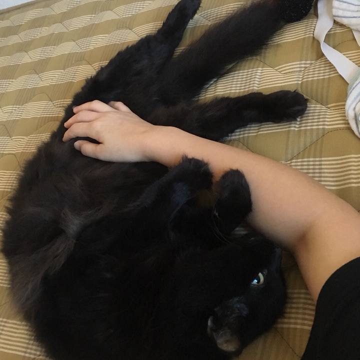 1e99d4fc 6669 4072 9a14 e415e0a257be 1534735556334