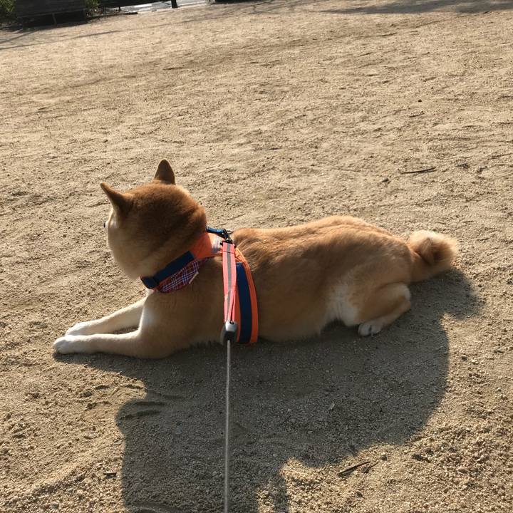 1e99dc87 43a7 4f5a 9efc cc94da86c5a9 1520930569262