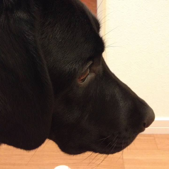 1e99f45f 366e 4a88 b9d0 024321f75eb6 1562498206292