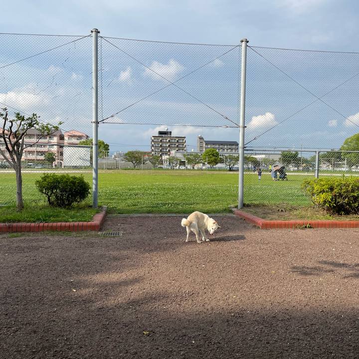 1e9a0076 85b2 48ae b754 4b230736337c 1652794467977