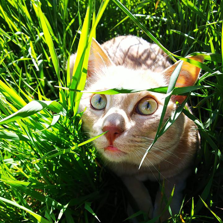 1e9a0c9c d1b3 44e9 bf72 dd2a8debfe87 1590046539682