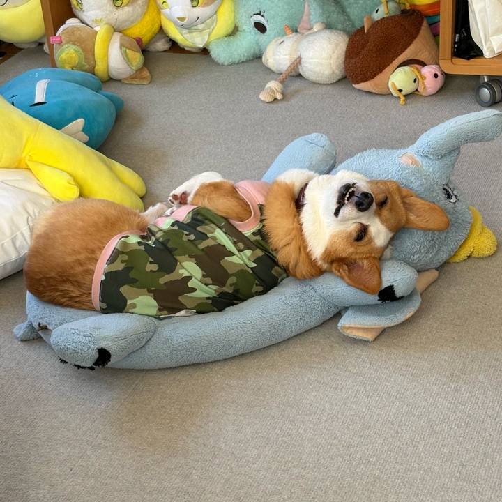 1e9a30a5 bb42 4466 81cb 89e496b5cf7e 1771128926825