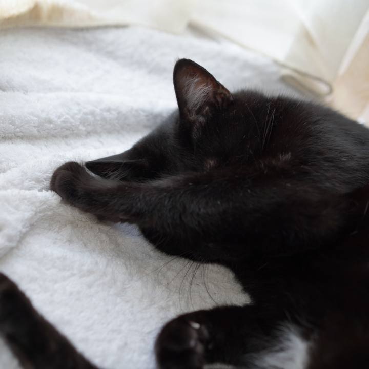 1e9a496c 3ea0 4eb8 92e6 19680e0d9ccc 1624198606414