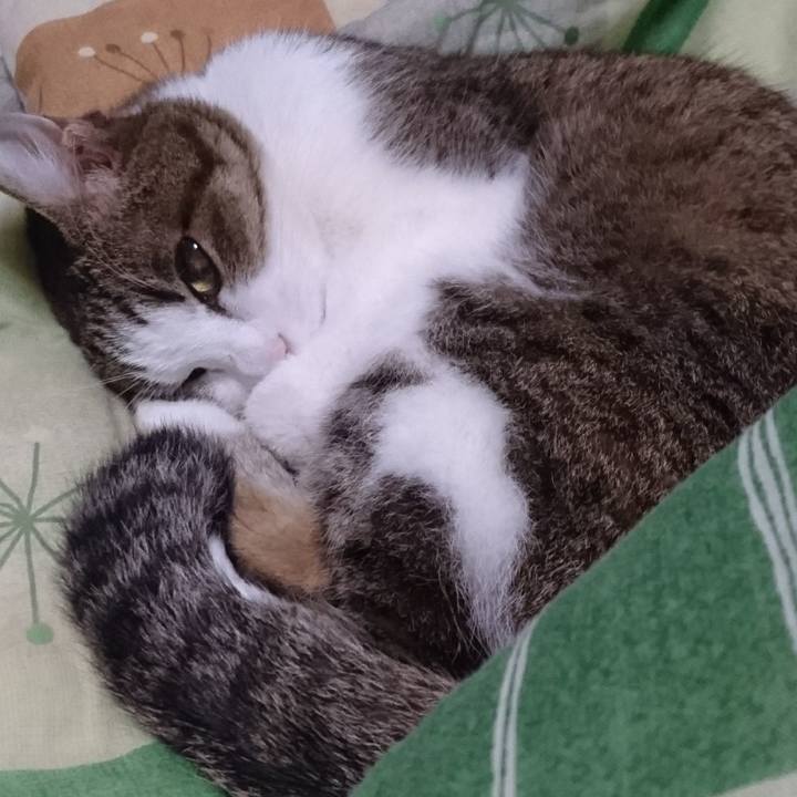 1e9a5570 c529 4abb a376 bfa8ddc2ab33 1518000532642