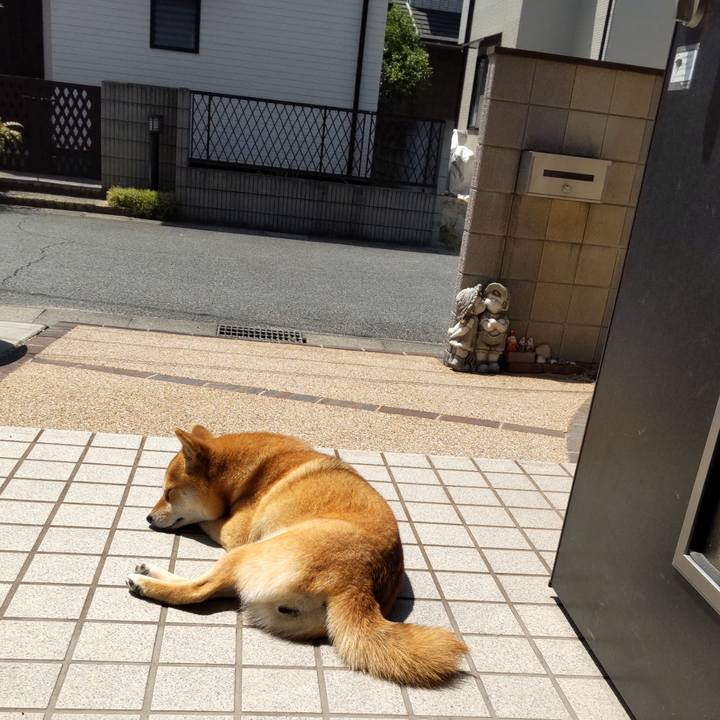 1e9a68d6 2239 4f77 b0d3 c25dc0fdc72a 1654134163934