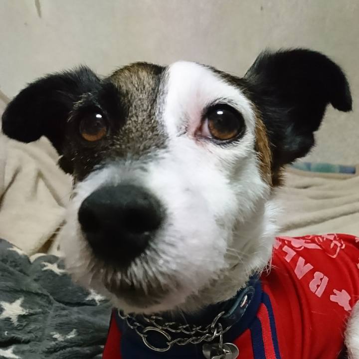 1e9a8cd2 4a70 4408 8506 ce511f173642 1613226565837