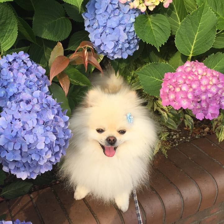 1e9a9b8c b1f2 4e9b bb9f f6ec07459acc 1591309128559