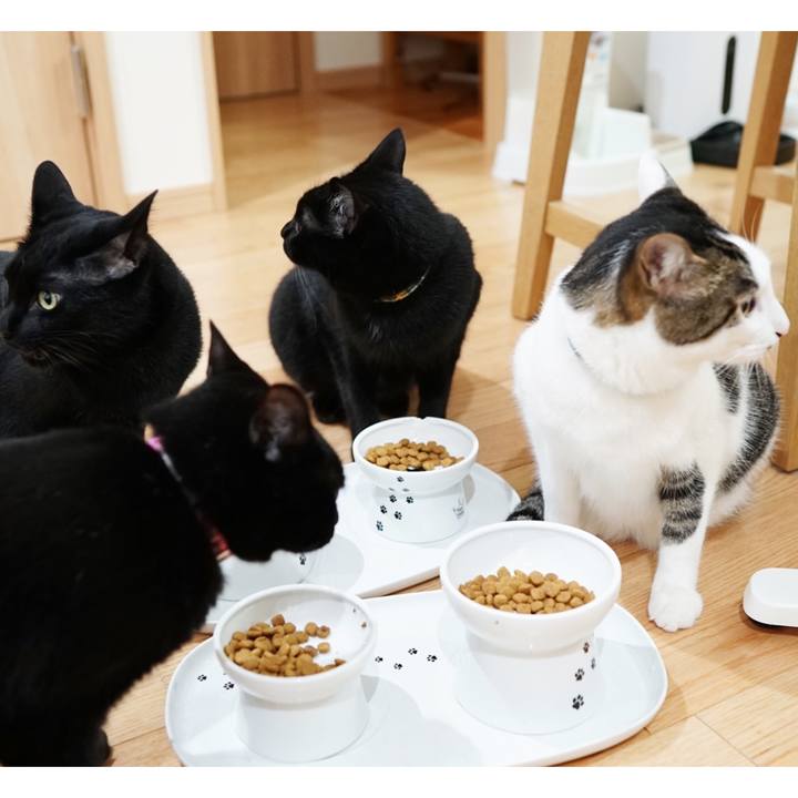 1e9aba8b d989 42e2 8e3c c8284bf000fe 1561160197383