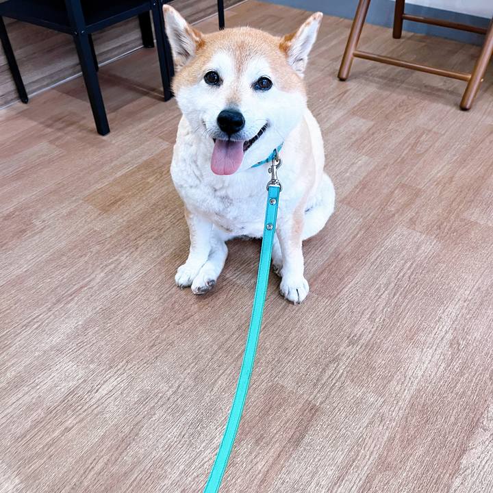 1e9ae965 3e88 4751 91f8 fcf337728e5b 1716173651024