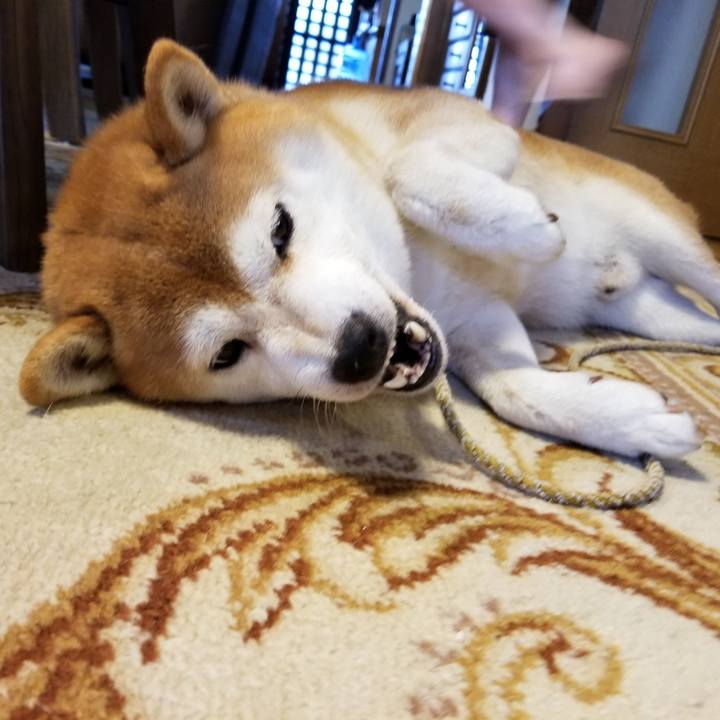 1e9af63a 1c23 4329 b274 6e7513c85d2b 1568605353369