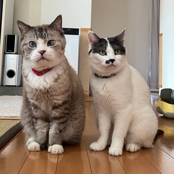 1e9afe7f 35b3 455d 98f6 4698e3c6df9a 1695687513150