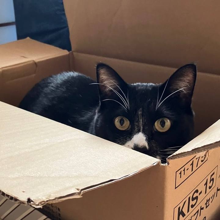 1e9b9d2e 7479 434e a710 b7d28d0ada91 1699414812746