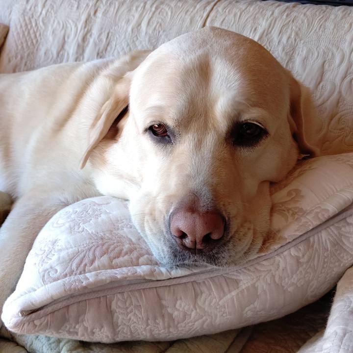 1e9ba9e5 9c22 435f 9d7f 4efa0c626373 1604457008476