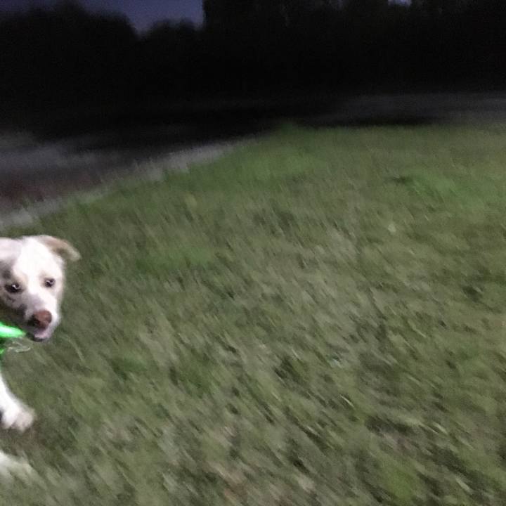 1e9bb4d7 48d9 499c b95b 1d2036227ea3 1524052488222