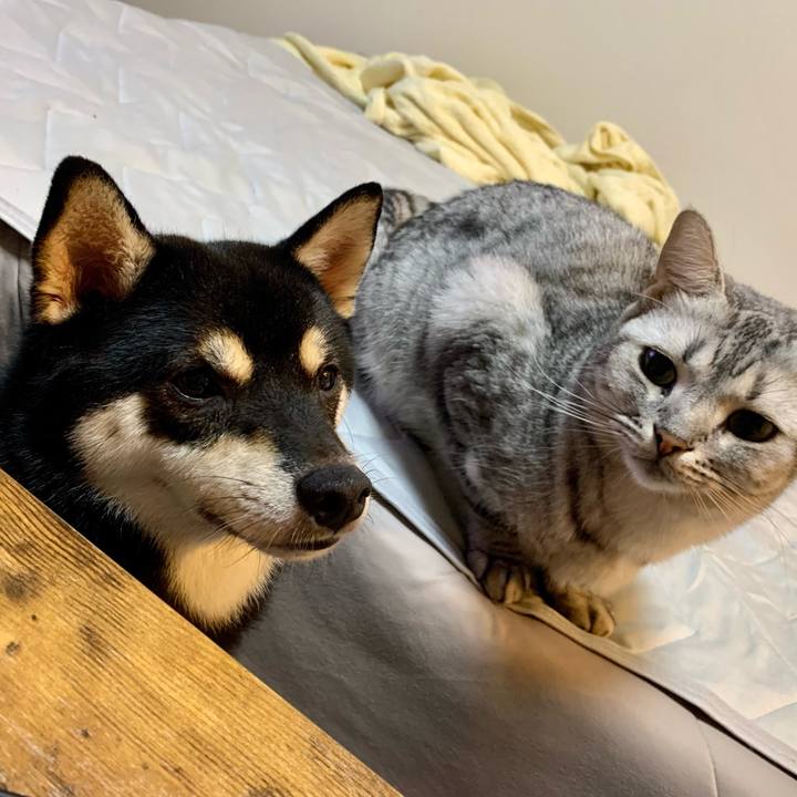 1e9bd0a6 dcca 44e9 821c 2ac9c6afe34e 1631421335213