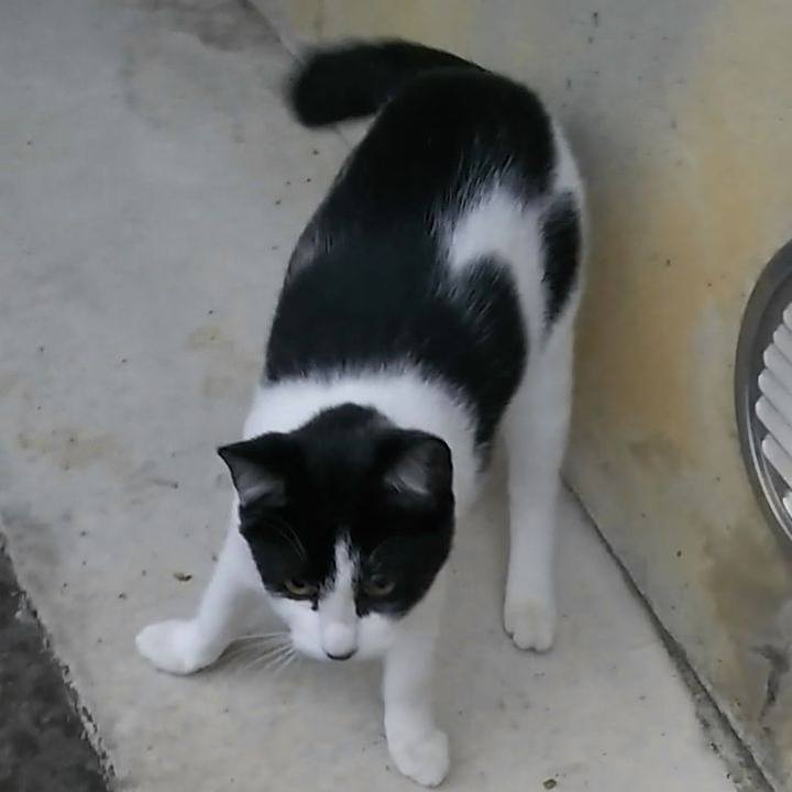 1e9bdaec 7a19 40bb a8bc 090cd81c8f61 1542061565874