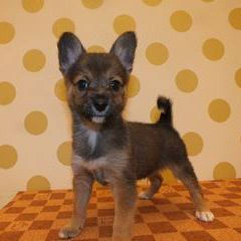 1e9c03d5 e433 4628 a8fd 3f632f00fdf1 1528279361570