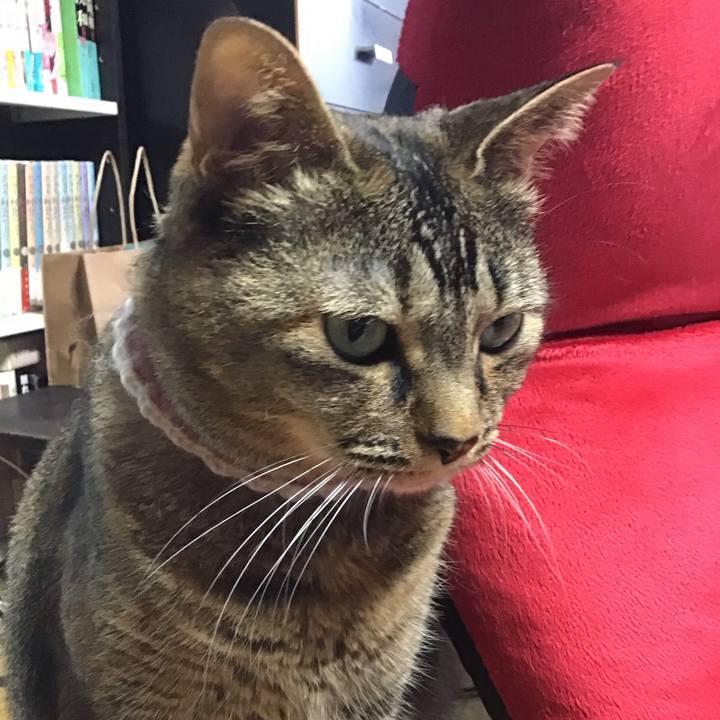 1e9c5de4 397d 4d43 910e 2a3f0ac85a31 1718874762868