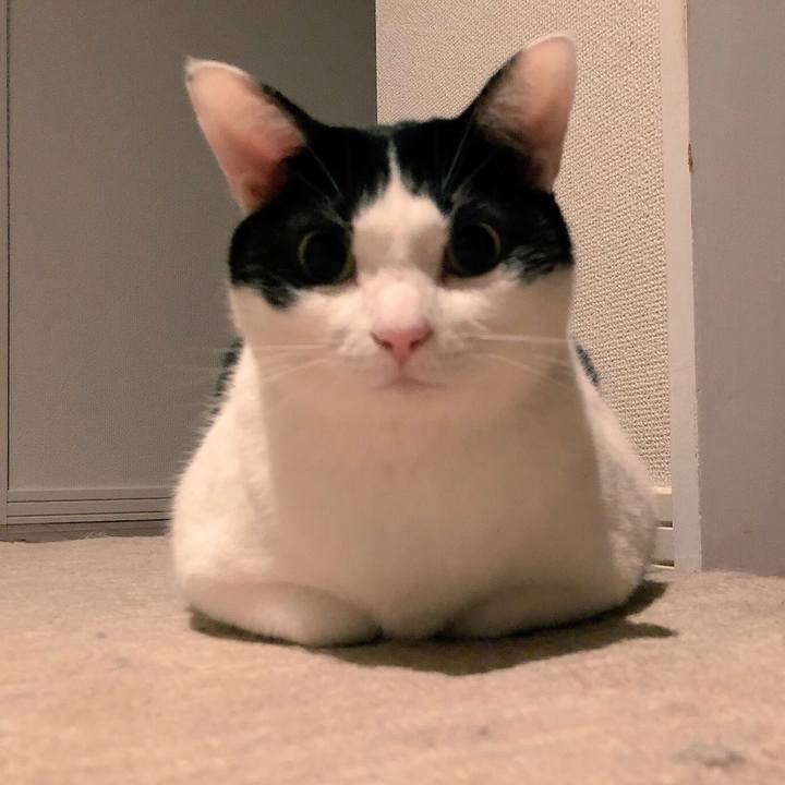 1e9c5e13 7934 4f0f ac33 967477f13478 1543553084299