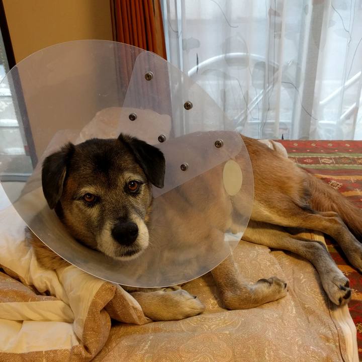 1e9c6d7f 0046 4cc6 9ac9 25e8d02a97d2 1516155109405