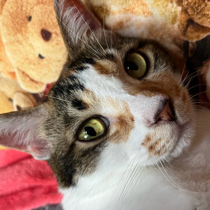 1e9ca3dd 63ef 4597 b328 dd1b5cd78a4d 1751726403550