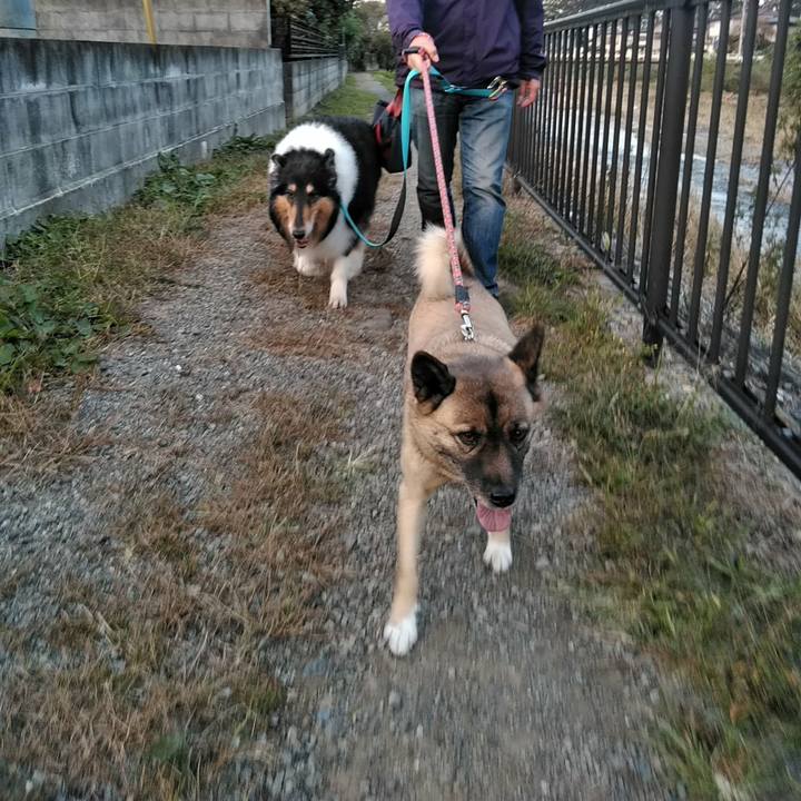 1e9cb0eb e7b4 4a98 9690 013a42d38e5d 1509885631592