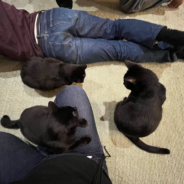 1e9cc58c fef8 47b4 9bef d3ec691d56eb 1710418406658