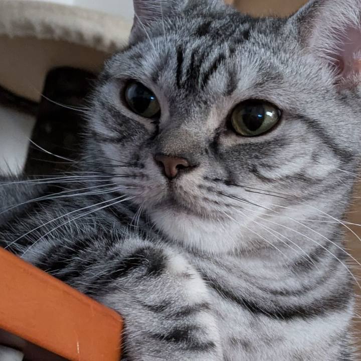 1e9d3ea4 8945 4b05 932f fa3eea37cbbb 1728774999740