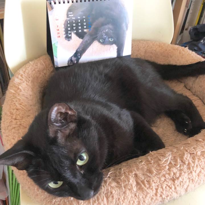 1e9d9c42 ca60 4184 bd14 86c3ea9869d0 1591517488254