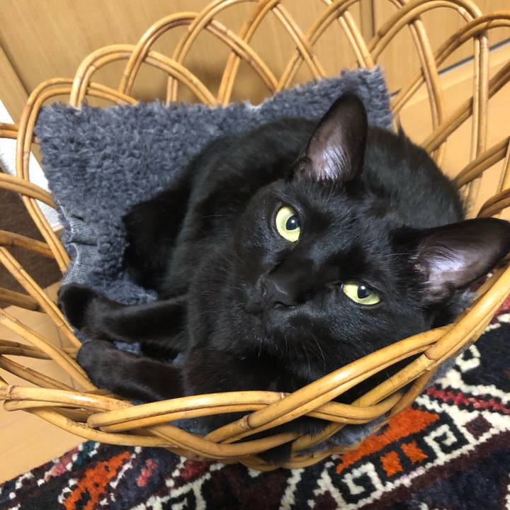 1e9dc014 be67 43e3 8247 52bc0f003ae2 1575187493801