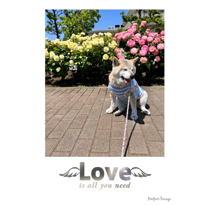 1e9ddcff 5375 4b39 914f 91f9bf037857 1747868296518