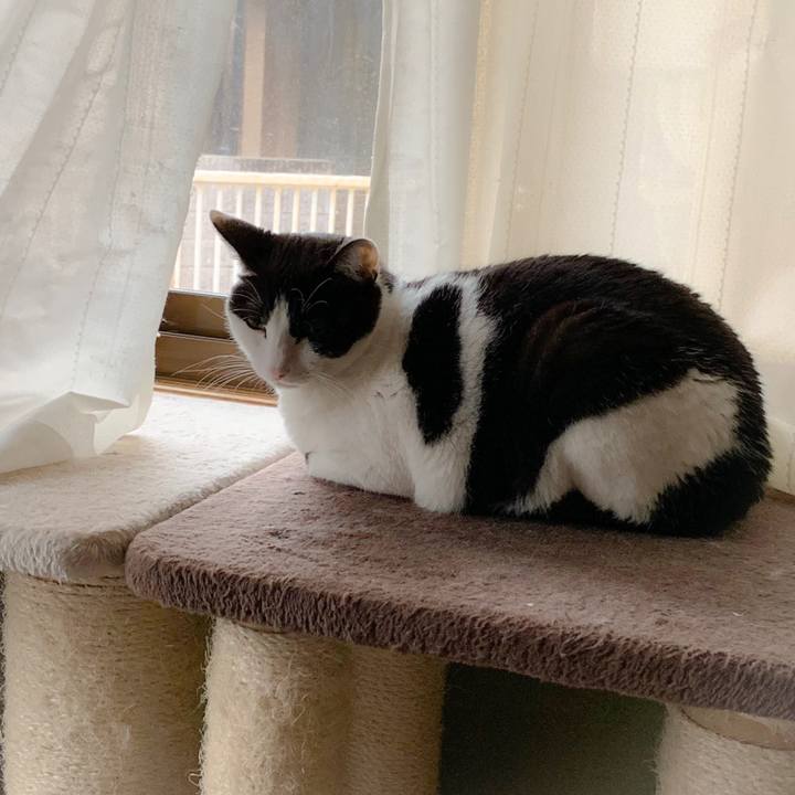 1e9def6d 98ab 4a07 abc1 354ea6bc54fd 1557452305488