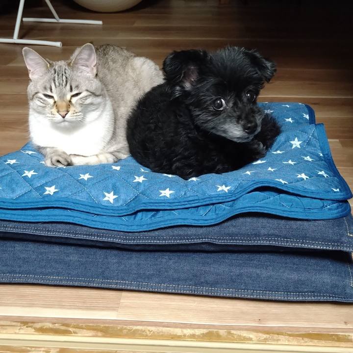 1e9e0e09 3dbf 49f1 8811 ab71695d56dc 1622738820037