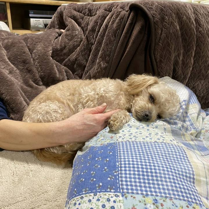 1e9e1304 13ce 491e 9729 e9c6bfb0a58c 1613225274944