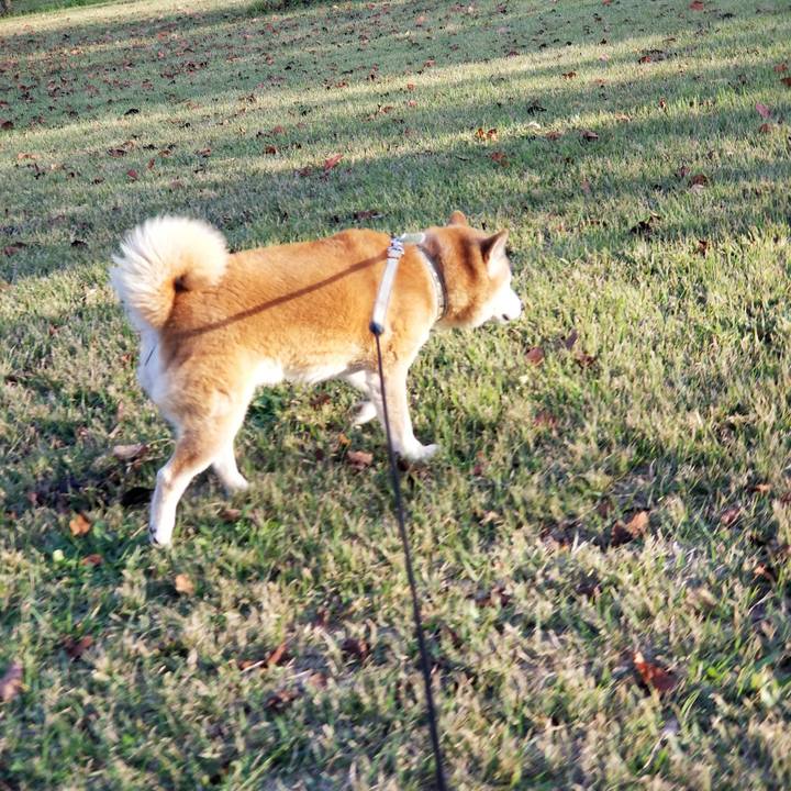 1e9e1bd7 431e 460a a41d 79e7a2f174ec 1697008761727