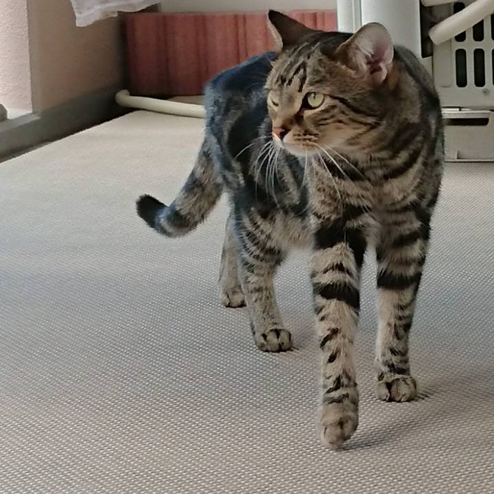 1e9e1c8c ccc1 49b4 aac6 a2bb9b988111 1573866996338