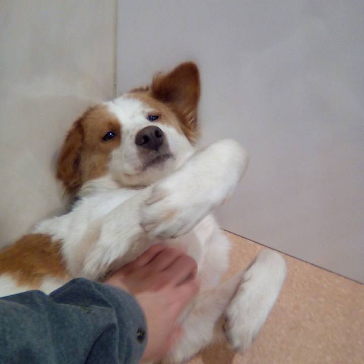 1e9e2d6c 0616 4581 a362 d60ef8945b8b 1514980707353