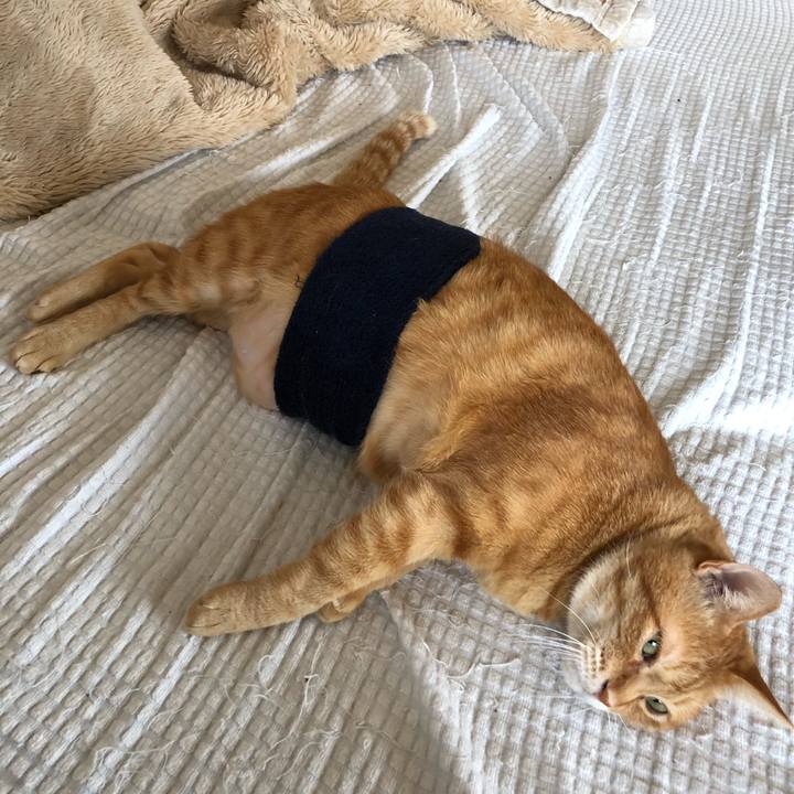 1e9e4a2f 3008 4771 9730 f08e0852be14 1636848467123