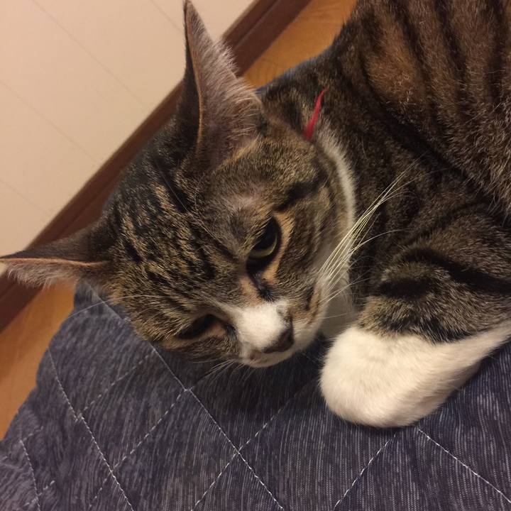 1e9e9a3b 7860 4119 a88b e0c3e6f6491b 1558717770836