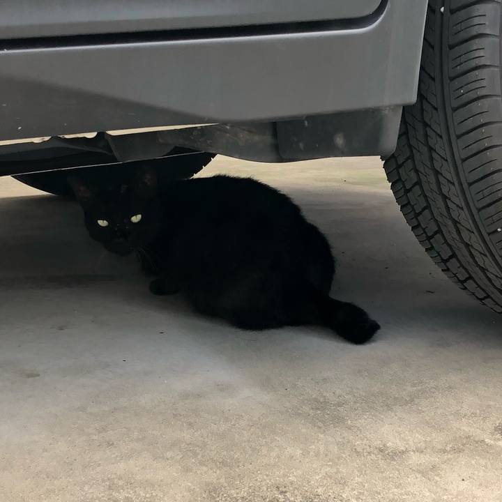 1e9ed039 54f3 479b b1cf a6a073c6b0c5 1532895911466