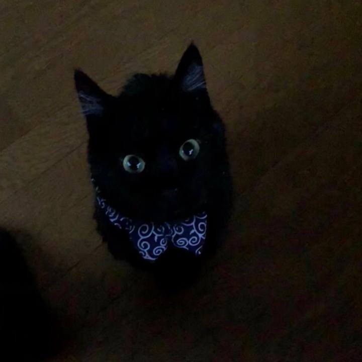 1e9f105a 9189 4cc0 8098 fa7da7428d5b 1553682627617