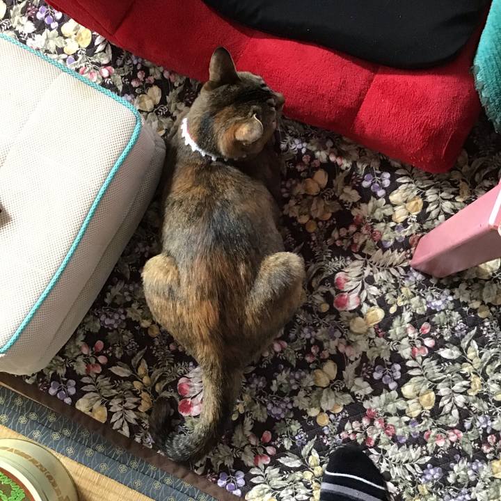 1e9f3d6d 95ea 4433 998c 110d37c771ca 1592877256460