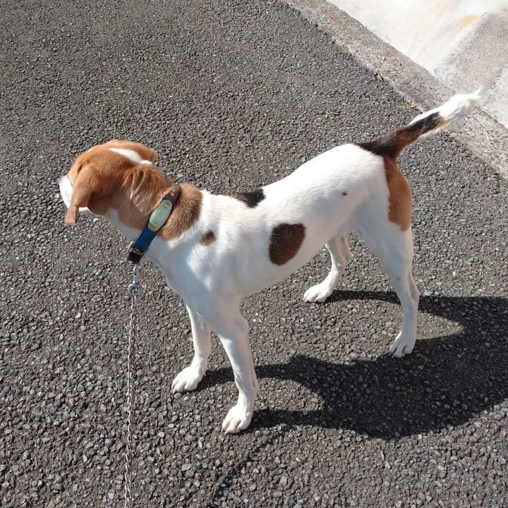 1e9f47a9 e70e 45d1 93ab 08aa638cea17 1614750054553