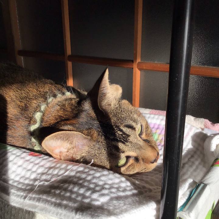 1e9f4ffa 5656 4979 87f8 2409d384bda9 1645486802830