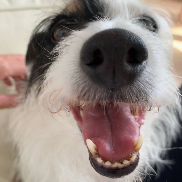 1e9f5e64 aef3 4112 a43a 7dd3f2290f12 1655697465816