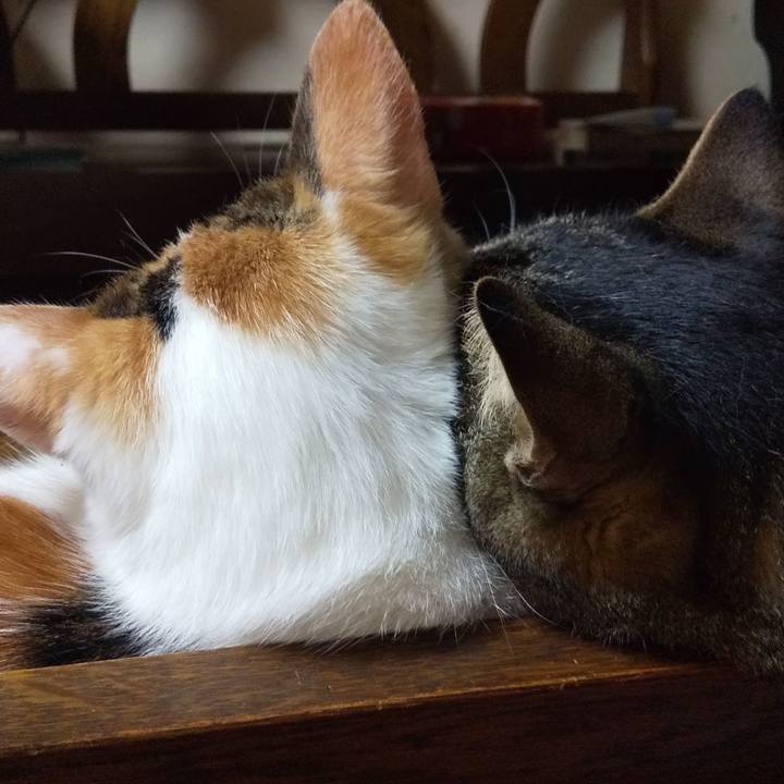 1e9f71d7 814f 458e ae83 51d00a8eea7c 1655731518865