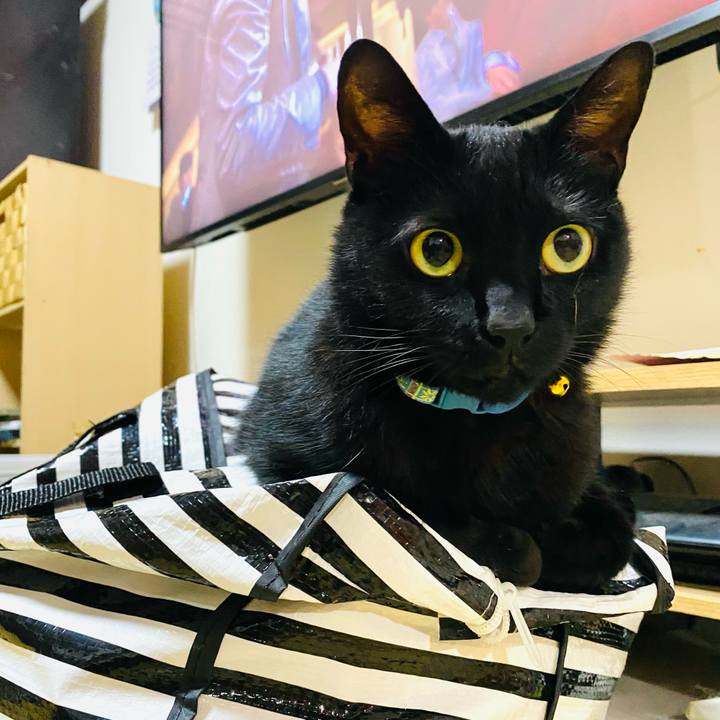 1e9fca9f 6675 4e9d 801c 163fc5e64500 1752406475803