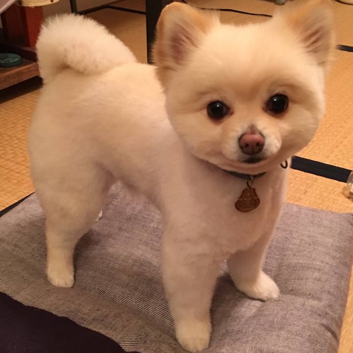 1e9fedef 12b8 4a9e 8be4 9c5e528d9ad4 1554028658946