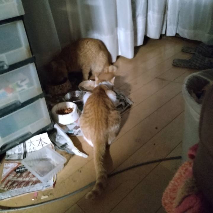 1e9ff671 0131 4ce6 b1c4 f1042b954b43 1732399618364